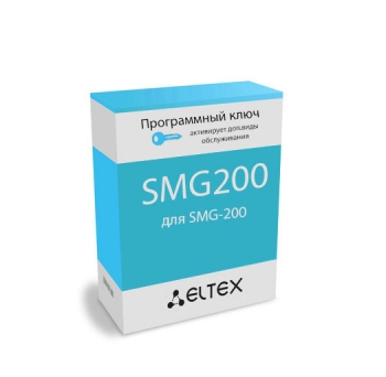 Программная опция SMG200-H323