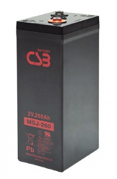  CSB MSJ 260