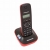 Panasonic  DECT. KX-TG1611RUR